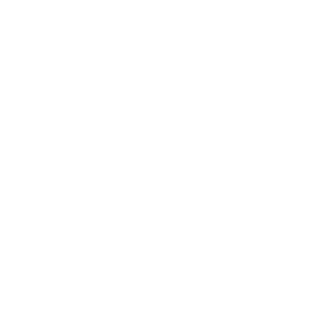 Logo audi blanc