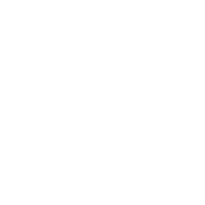 Logo cupra blanc