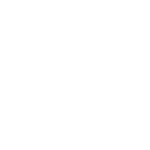 Logo dacia blanc