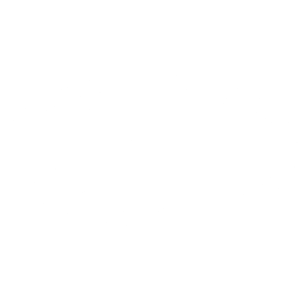 Logo hyundai blanc