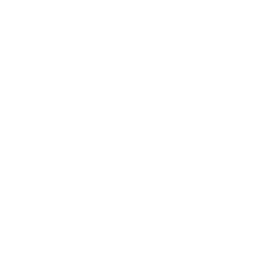 Logo volkswagen blanc